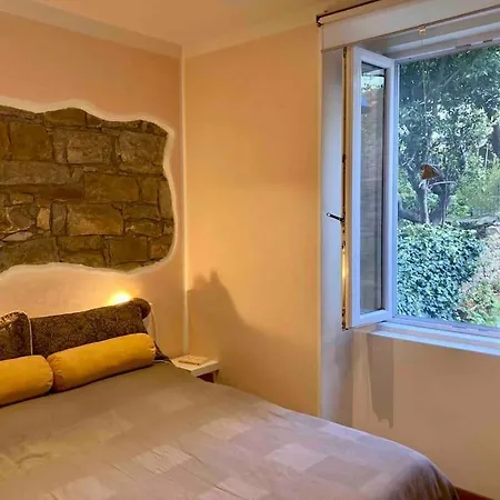 Windows On The Garden Triest