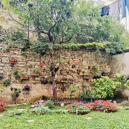 Windows On The Garden